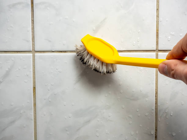 Best Mold Remediation for Specific Building Types in Childersburg, AL