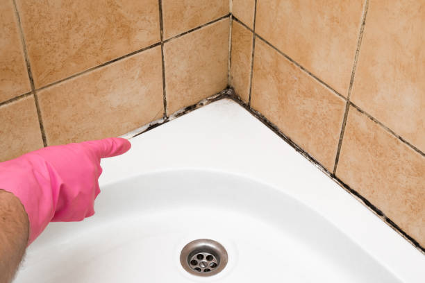 Best Residential Mold Remediation in Childersburg, AL